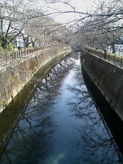 maidokyumennt